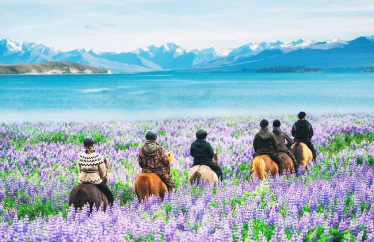 Tekapo