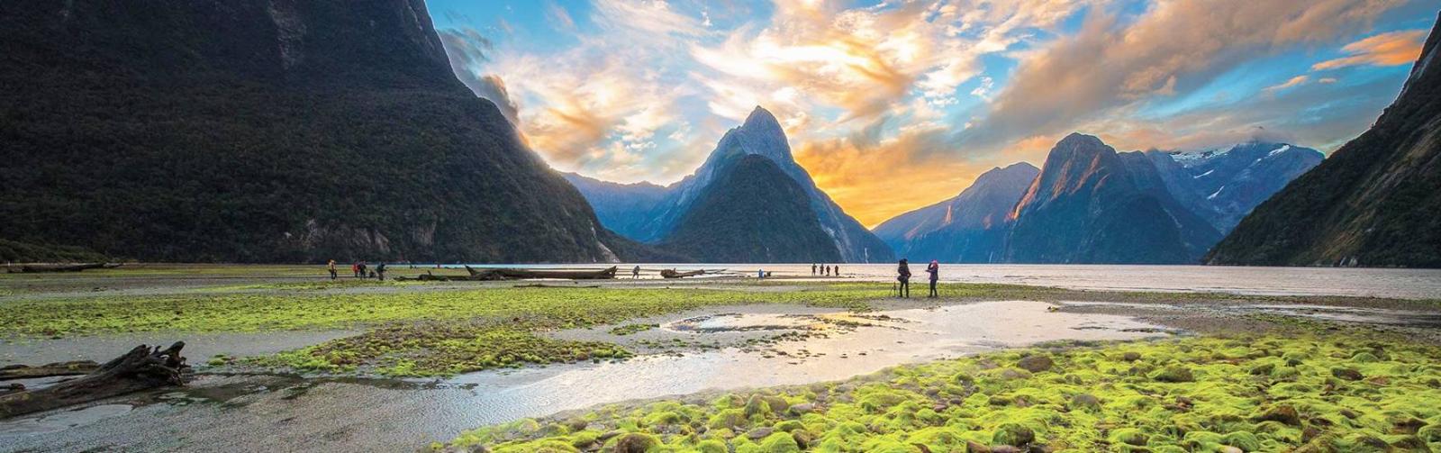 Best time to travel to NZ