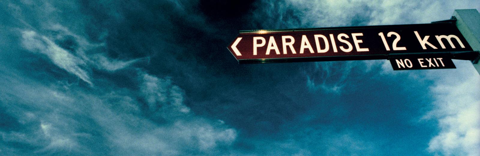 Road signs in NZ