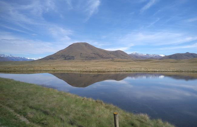 enjoying New Zealand's scenery