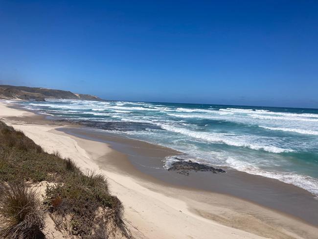 new Zealand beach