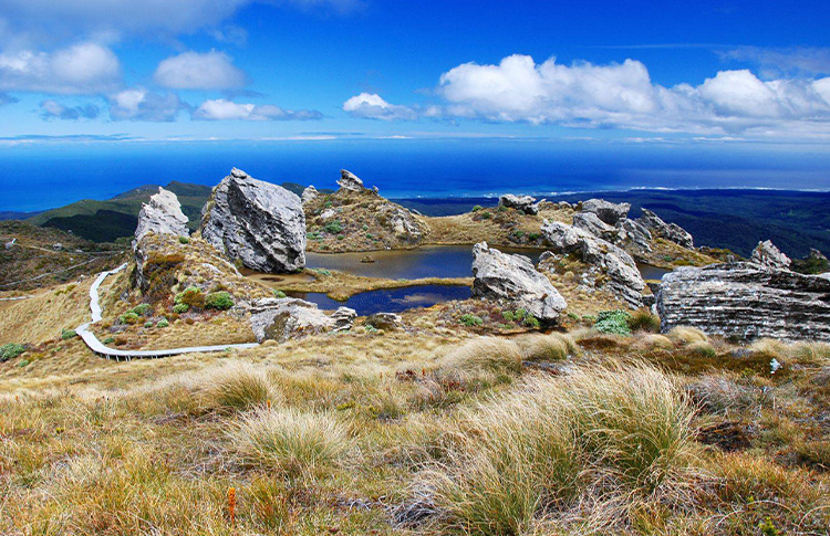 Hump ridge track tarns