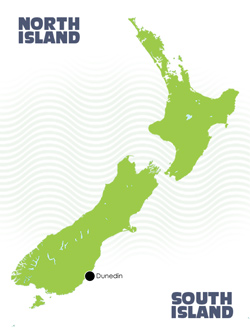 Dunedin