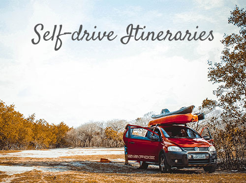 selfdrive