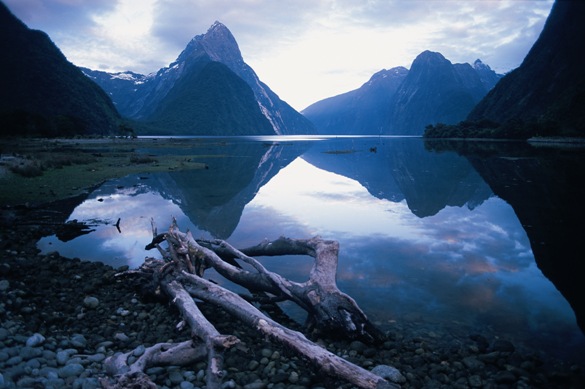 Five Day Milford Track (Amazing) – Options if dont have the time but still want the Experience?