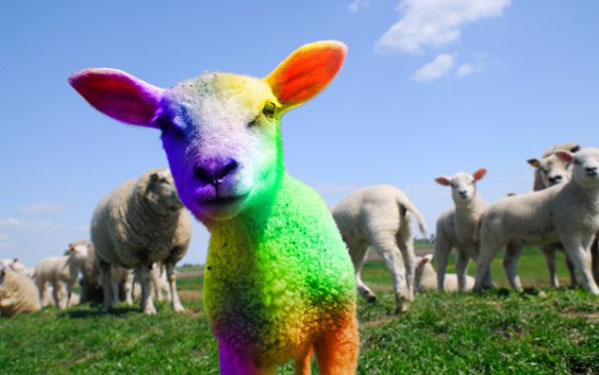 New Zealand Festivals – There’s one with your name on it.