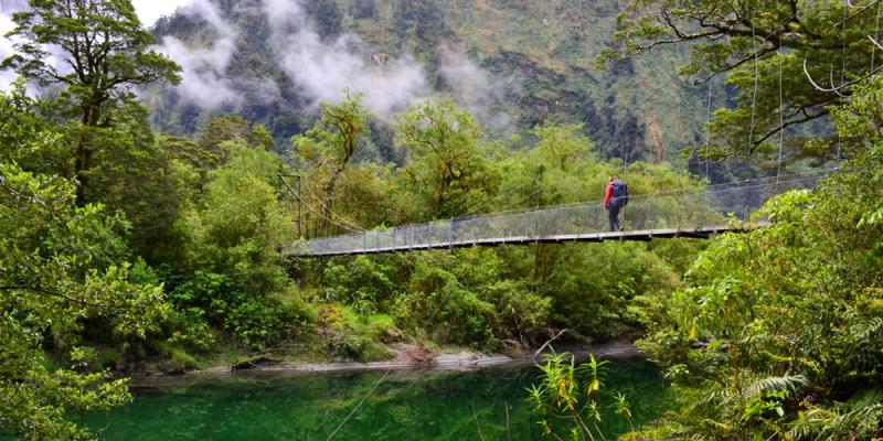 Milford Track