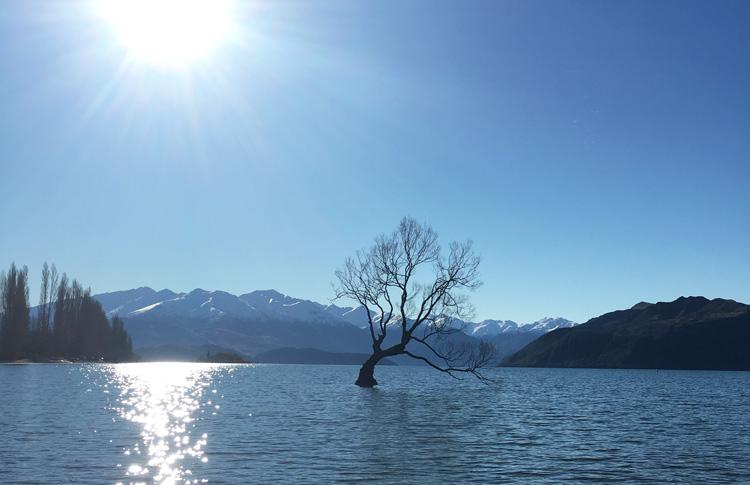 Wanaka