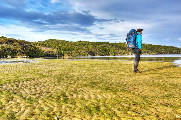 The Rakiura Track