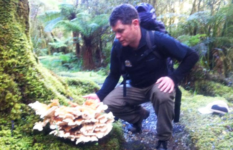 Hollyford Track