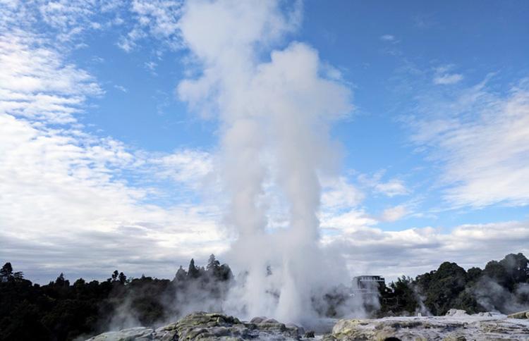 Geysers Rotorua