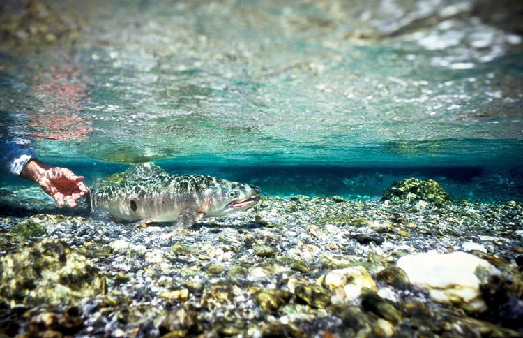 River Conditions