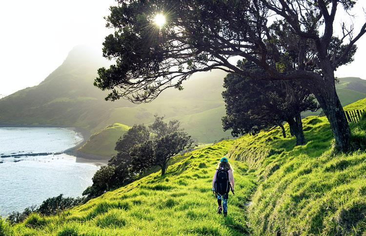 Coromandel Coastal Walkway