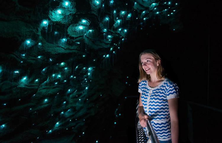 Waitomo Glowworms