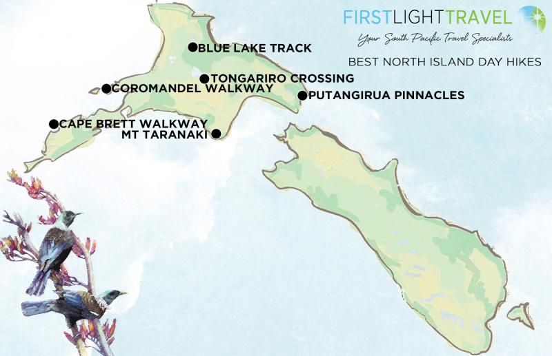 Best North Island Day Hikes by First Light Travel