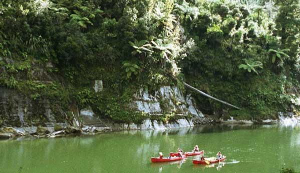 Whanganui River Safari