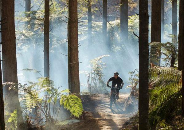 Whakarewarewa mtb near Rotorua