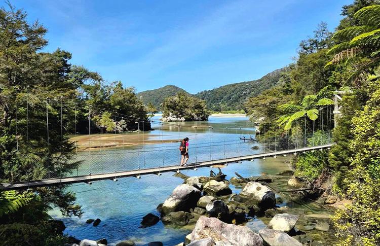 Bark Bay Abel Tasman