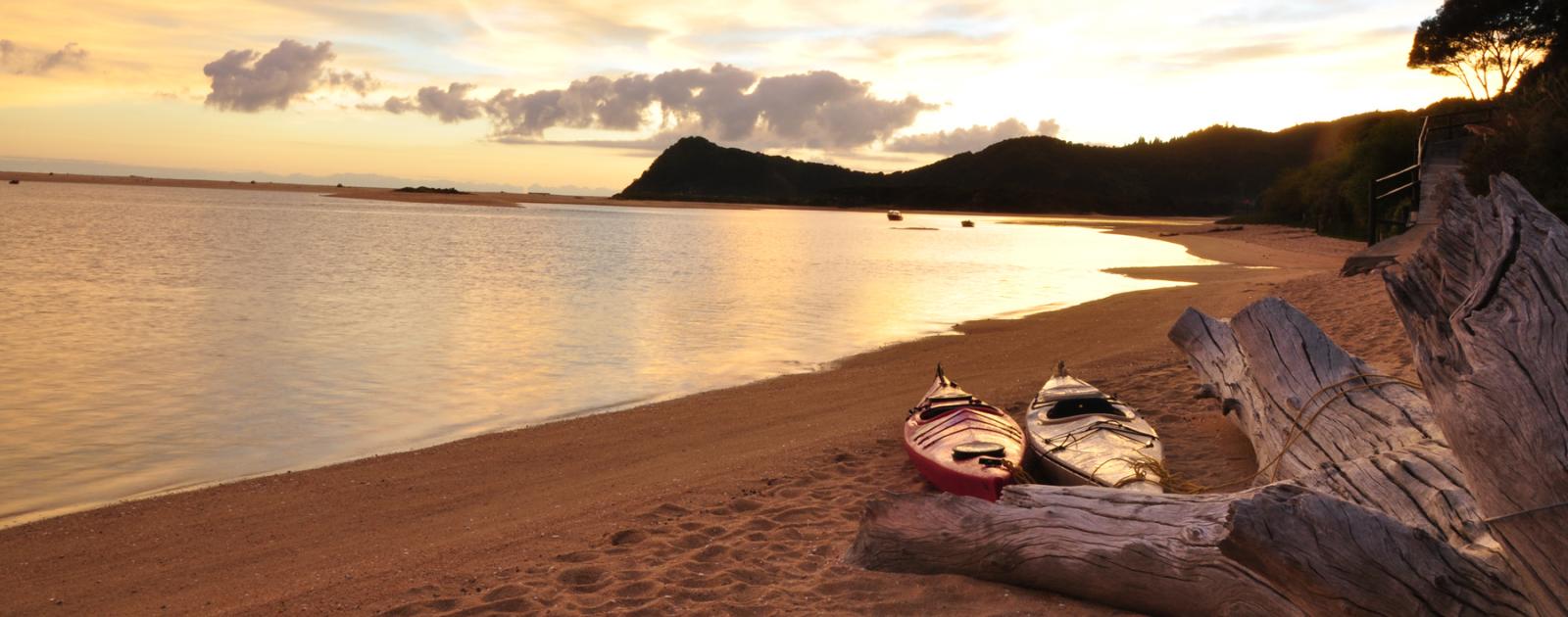Driving in the Abel Tasman