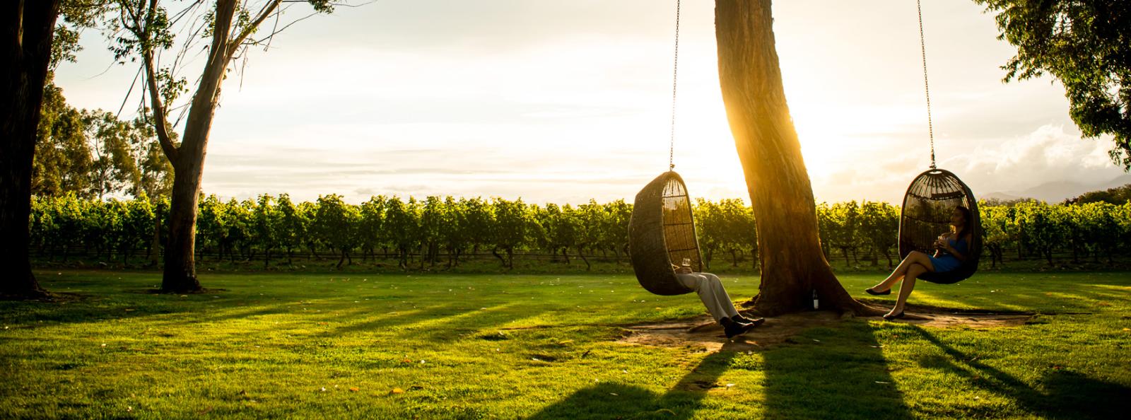 New Zealand Food & Wine Tours
