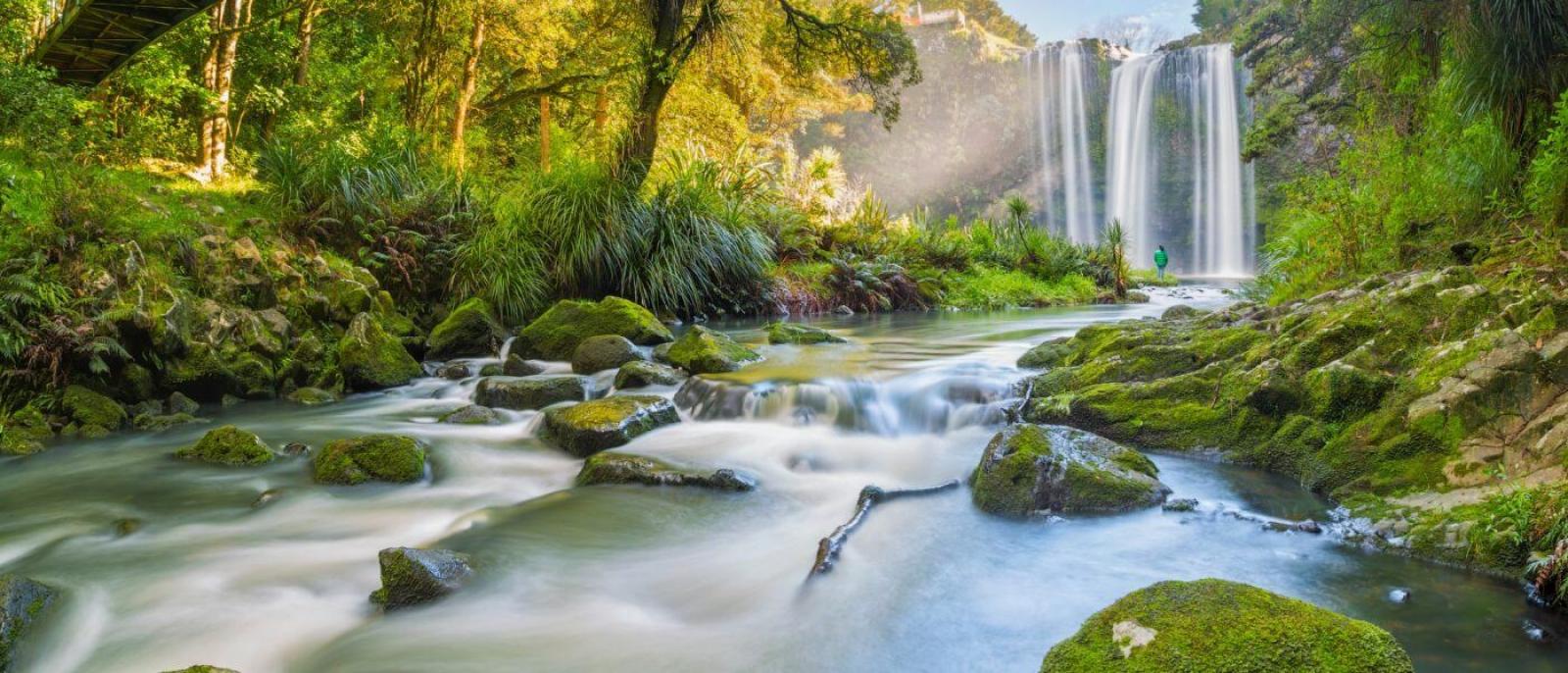 travel to Nz