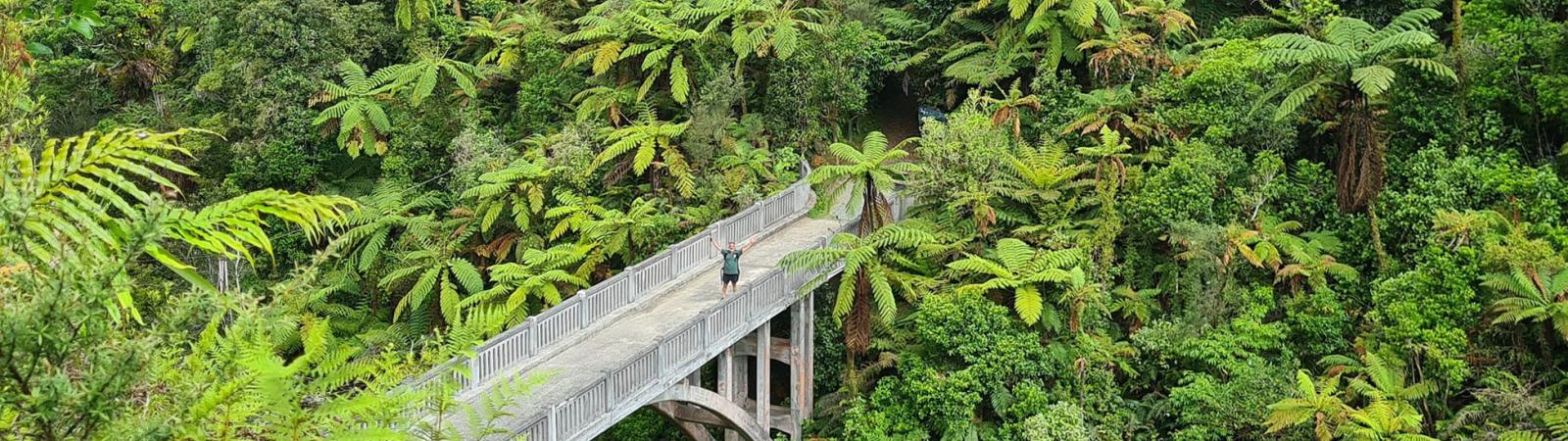 Bridge to nowhere
