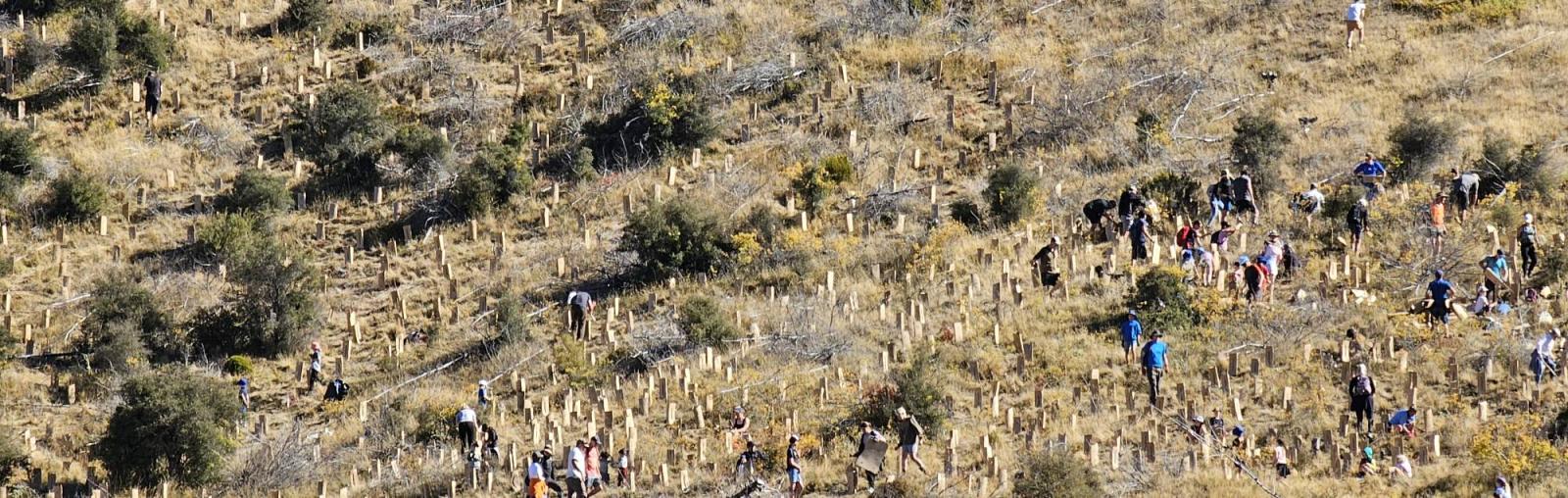 April Tree Planting