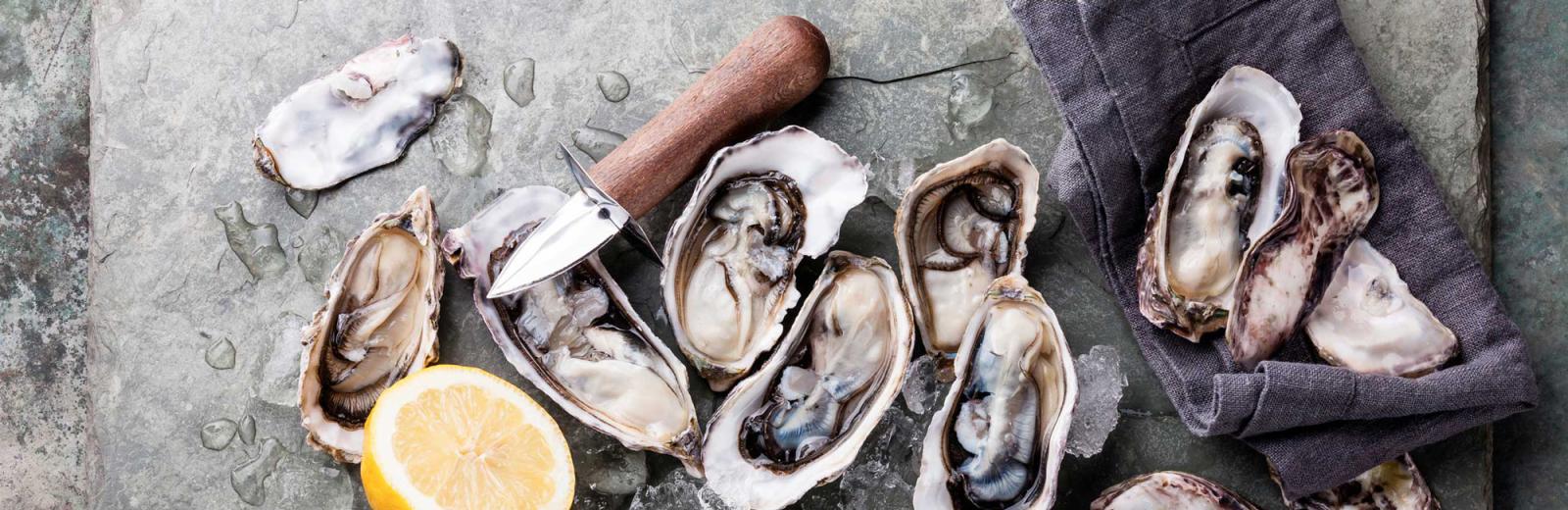 Bluff Oyster Festival