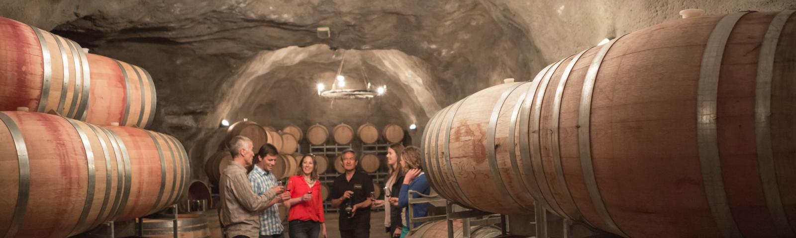 New Zealand Wine Regions & Tour