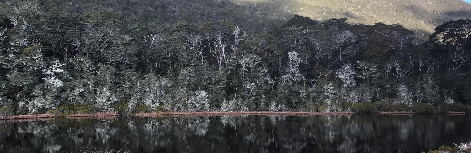 St James Walkway