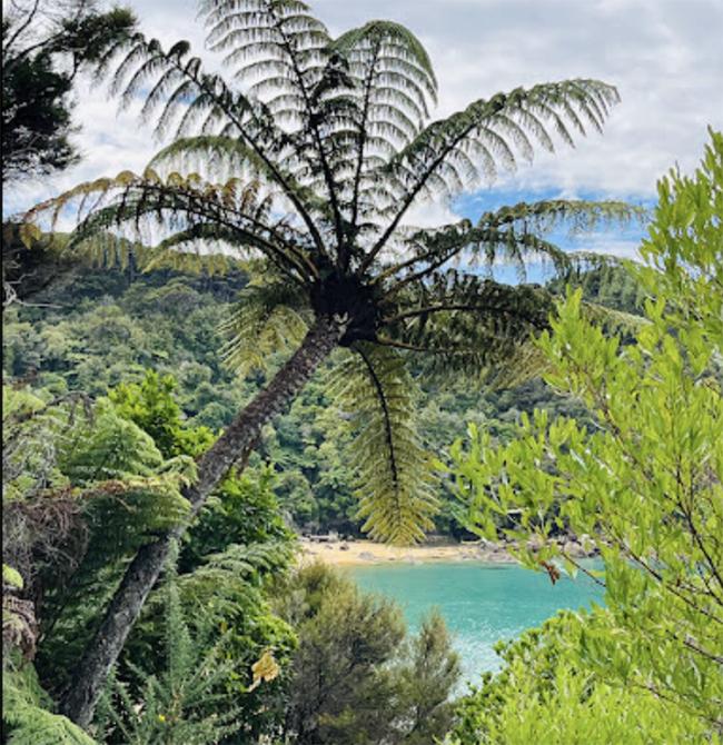 Abel Tasman