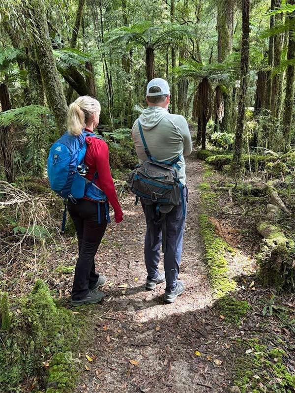 Bush Walk