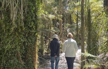 NZ bush