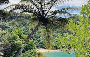 Abel Tasman