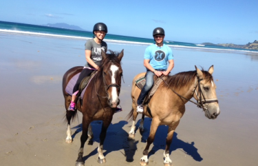 Horse Riding Northland