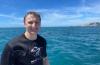 Dolphin Swim