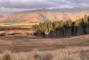 Mackenzie country