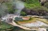 Geothermal Rotorua