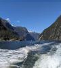 Milford Cruise