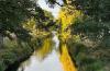 Avon River. Christchurch