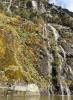 Milford Sound Closeup