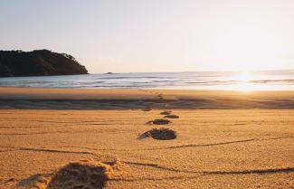 NZ Beach