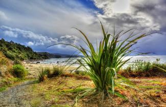Stewart Island