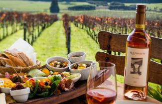 Waiheke Wine Tour
