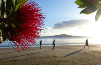 Auckland