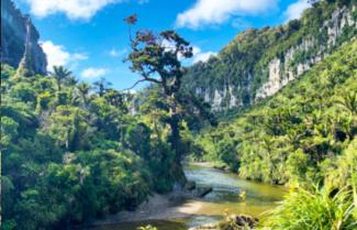 Paparoa National Park