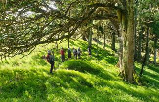 Day 1 Matahuru Valley Walk