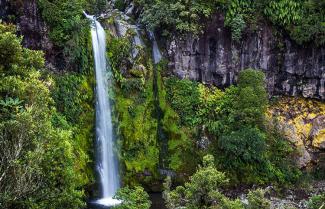 Day 5 at Dawson Falls Taranaki