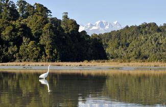 Okarito kayak lagoon