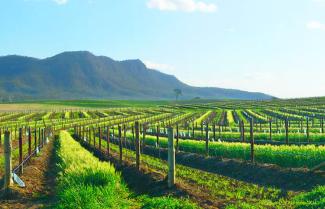 Hunter Valley 